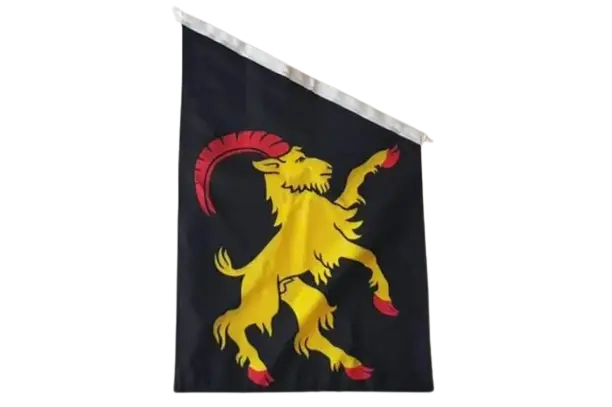 Hälsinglands landskapsvapen Flaggfabriken Kronan