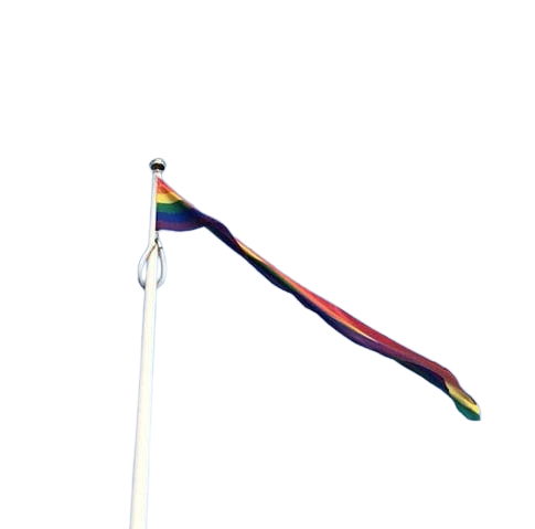 Pridevimpel / Regnbågsvimpel