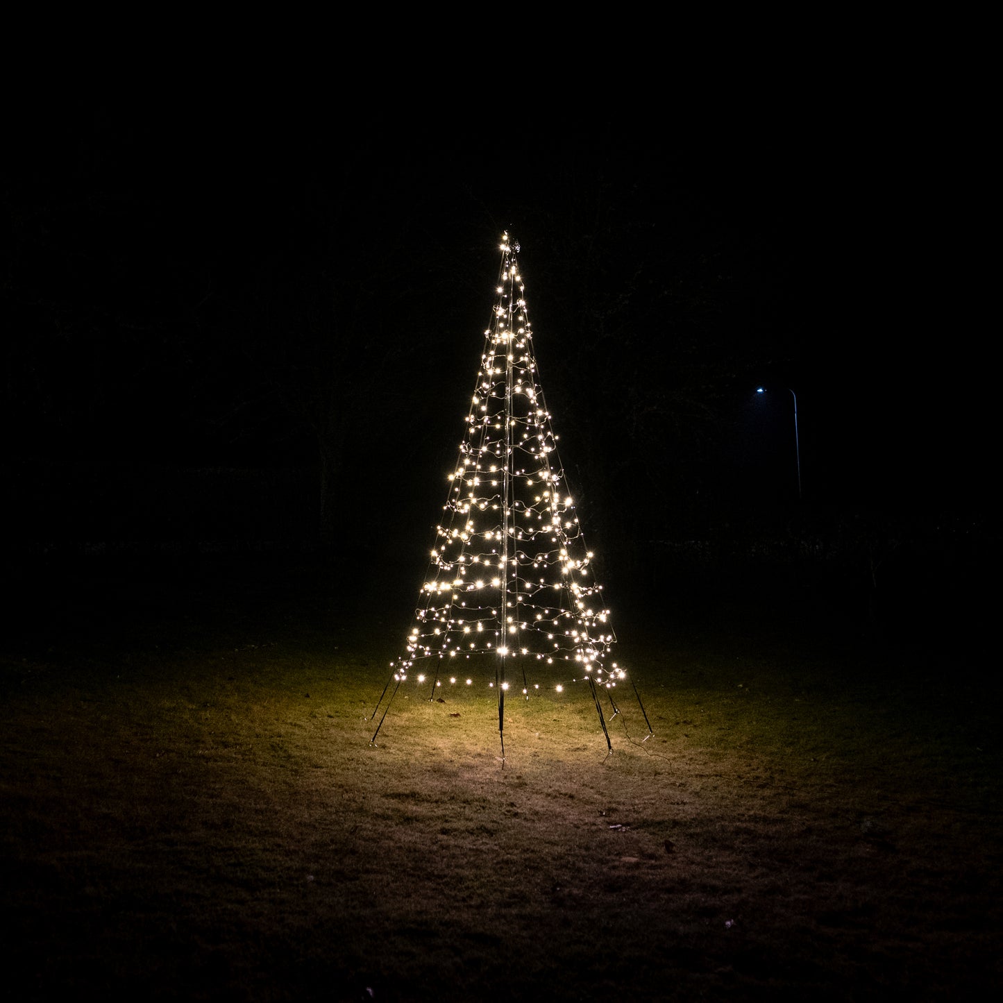 Ljusgran Glimma varmvit