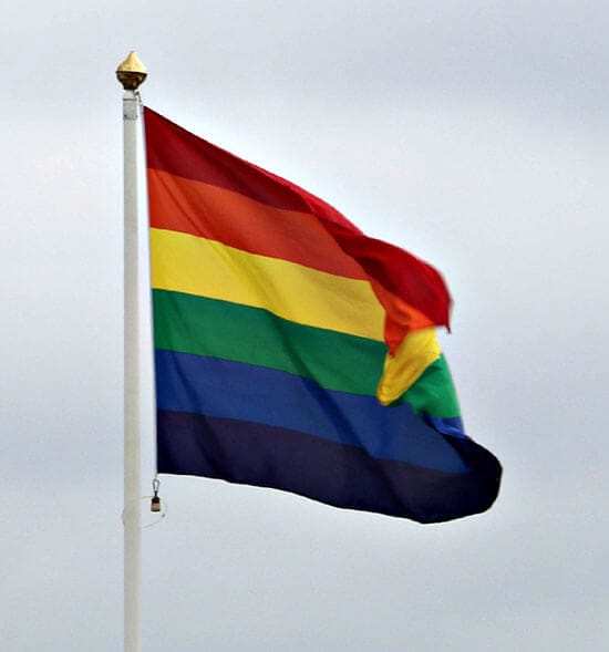 Prideflagga/Regnbågsflagga