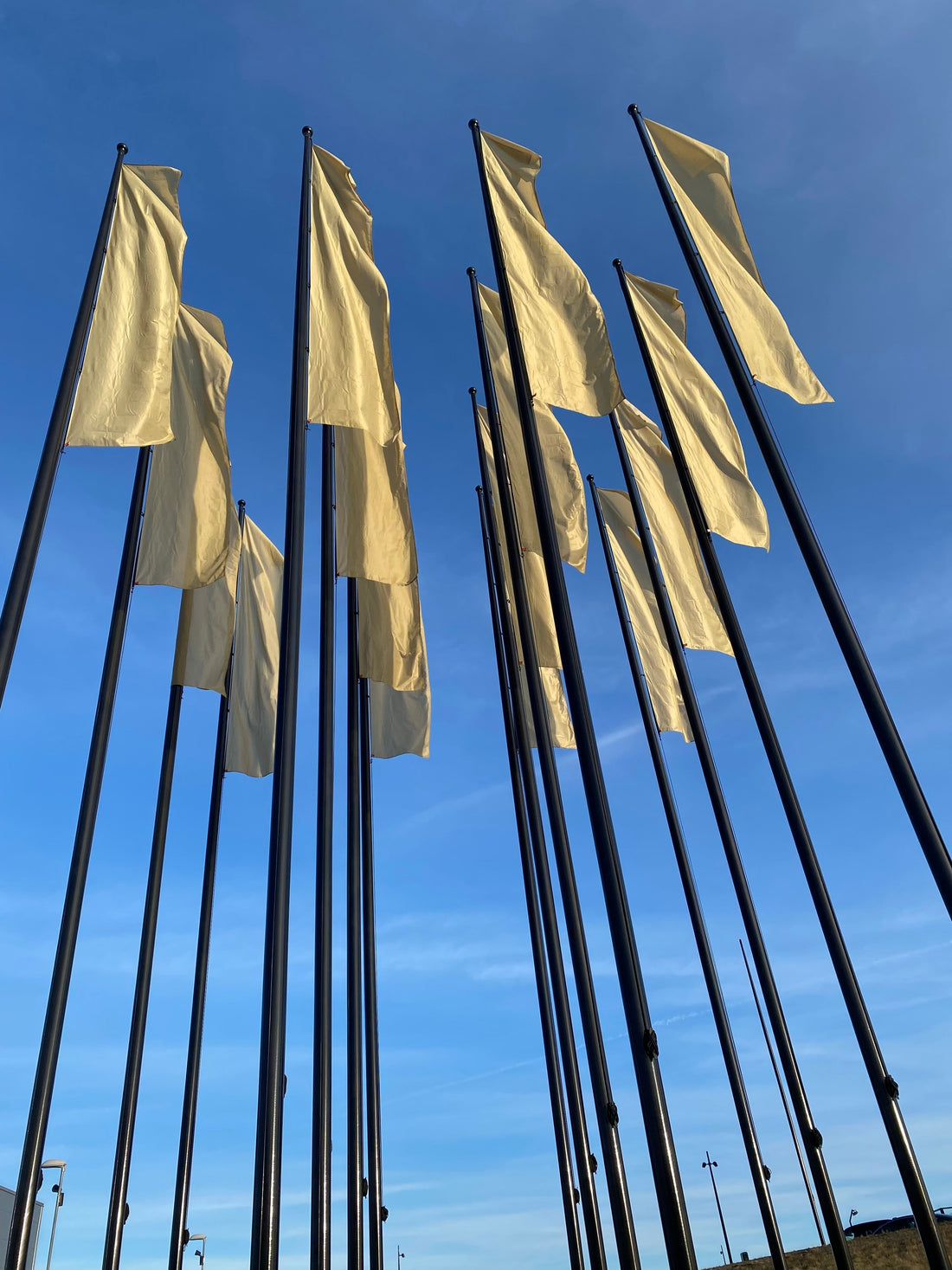 Flera svarta flaggstänger med gul flagga