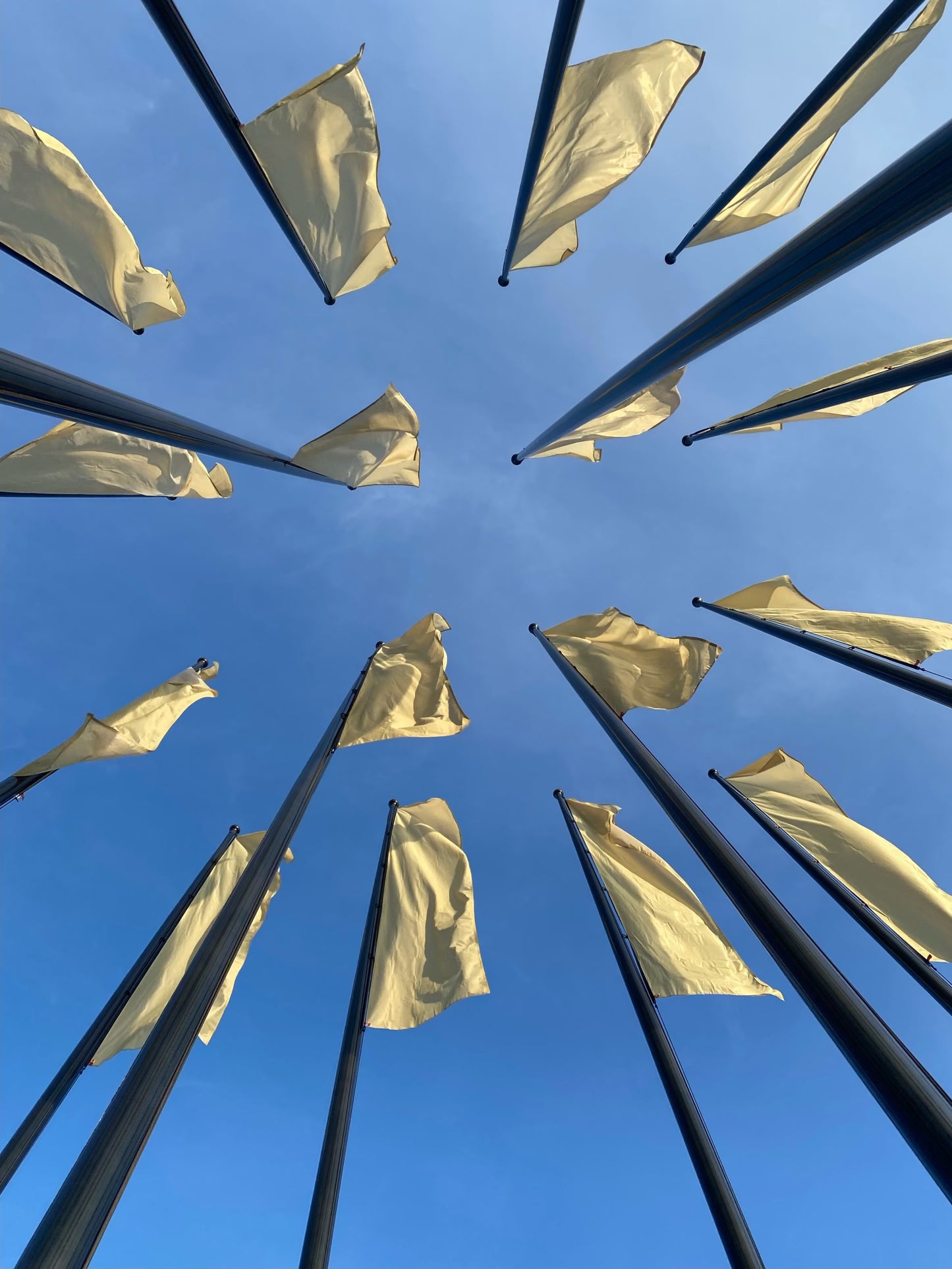 Flaggstång Original Black Edition