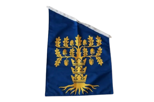Blekinges landskapsflagga