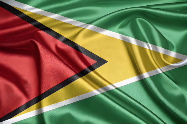Guyanas flagga Flaggfabriken Kronan