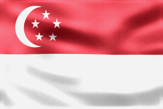Singapores flagga