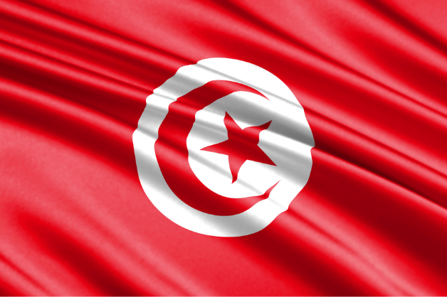 Tunisiens flagga Flaggfabriken Kronan