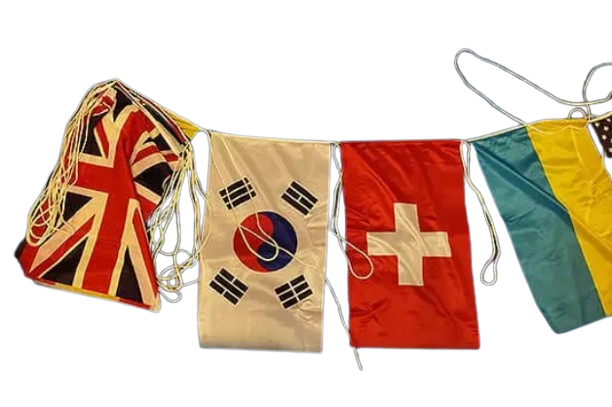Flaggspel 16 flaggor internationella Flaggfabriken Kronan