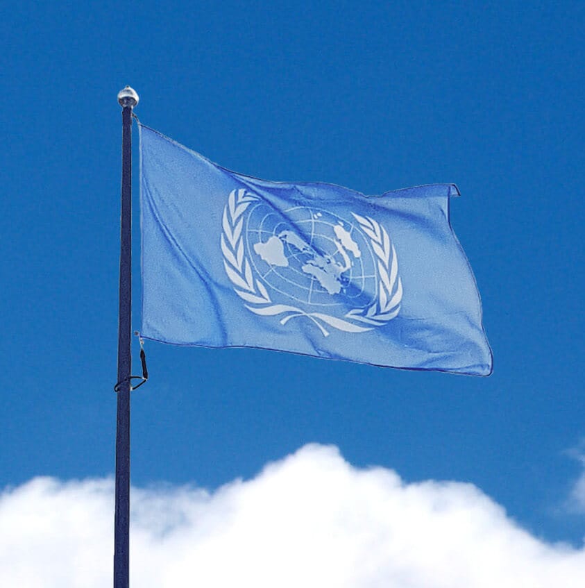 FN-Flagga Flaggfabriken Kronan