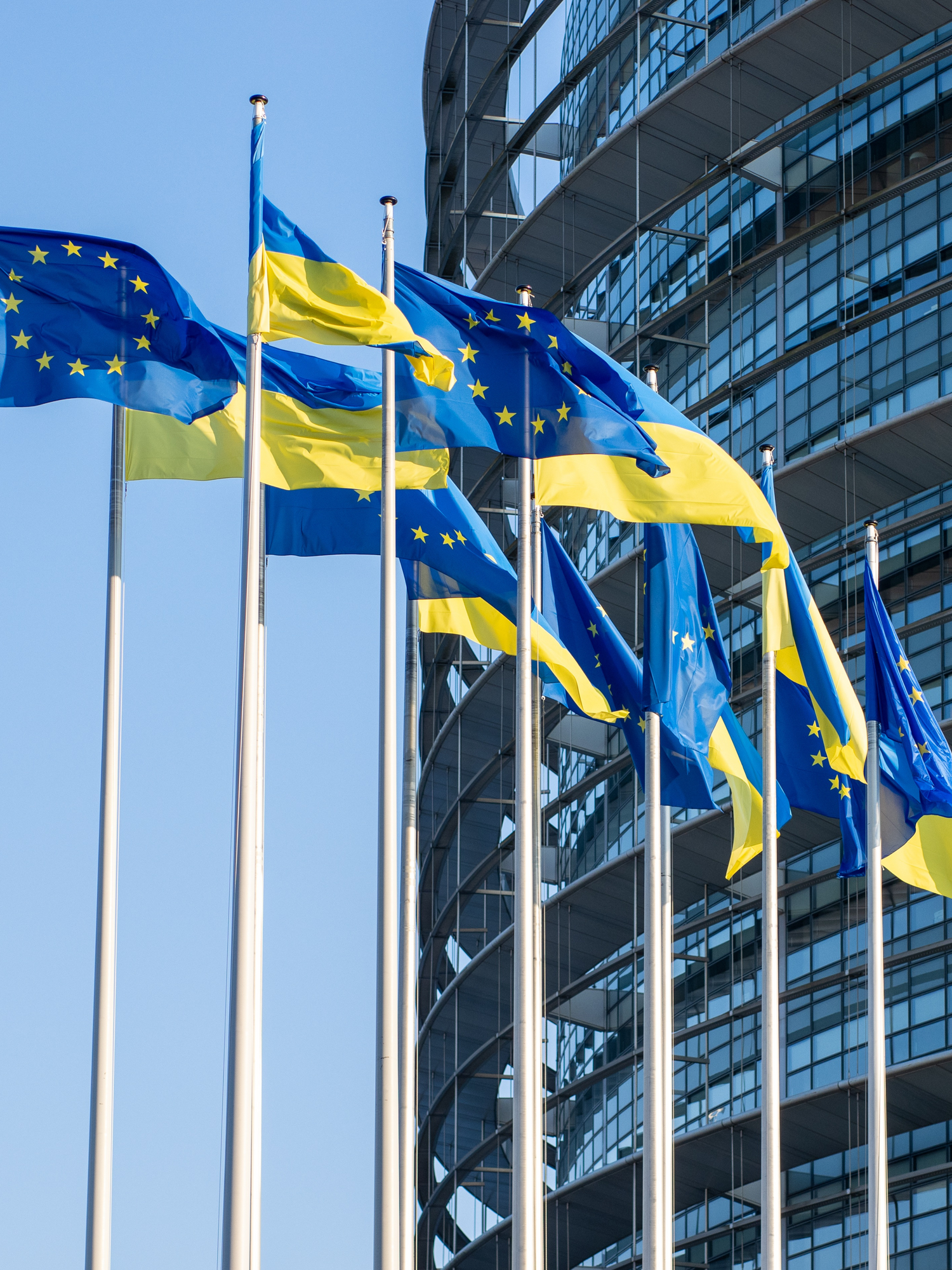 Sverige och EU-flaggor sitter upphissade i flaggstänger med blå himmel som bakgrund